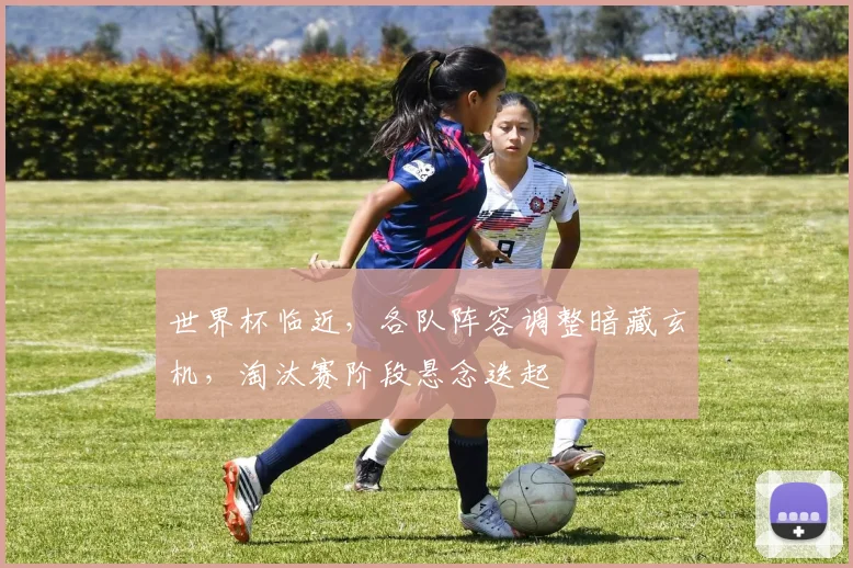 世界杯临近,各队阵容调整暗藏玄机,淘汰赛阶段悬念迭起 - 2026世界杯推荐