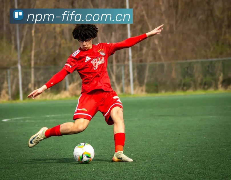 2026世界杯 App多端展示图 - 2026 FIFA World Cup世界杯赛程信息首页